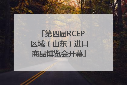 第四届RCEP区域（山东）进口商品博览会开幕