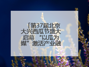 第37届北京大兴西瓜节盛大启幕 “以瓜为媒”激活产业融合发展新动能