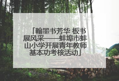 翰墨书芳华 板书展风采——蚌埠市蚌山小学开展青年教师基本功考核活动