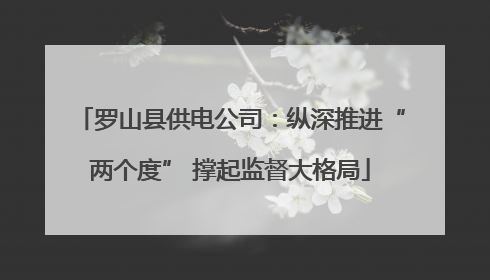 罗山县供电公司：纵深推进“两个度” 撑起监督大格局