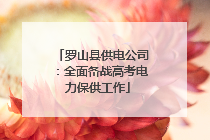 罗山县供电公司：全面备战高考电力保供工作