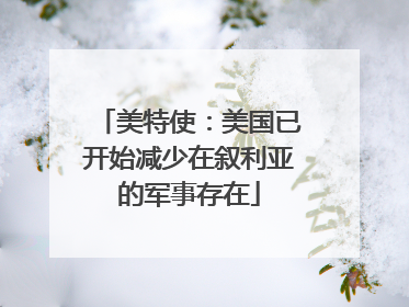美特使：美国已开始减少在叙利亚的军事存在