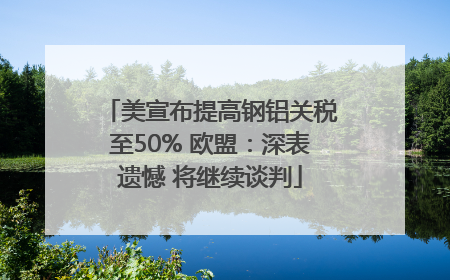 美宣布提高钢铝关税至50% 欧盟：深表遗憾 将继续谈判