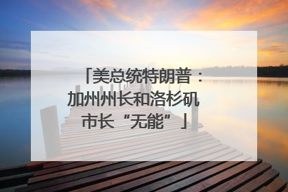 美总统特朗普：加州州长和洛杉矶市长“无能”