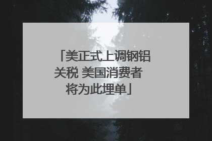 美正式上调钢铝关税 美国消费者将为此埋单