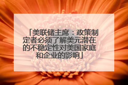 美联储主席：政策制定者必须了解美元潜在的不稳定性对美国家庭和企业的影响