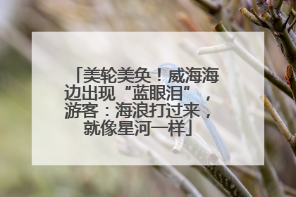 美轮美奂！威海海边出现“蓝眼泪”，游客：海浪打过来，就像星河一样