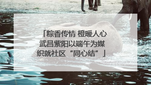 粽香传情 橙暖人心 武昌紫阳以端午为媒织就社区“同心结”