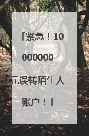 紧急！10000000元误转陌生人账户！