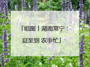 组图丨湖南常宁：夏至到 农事忙