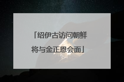 绍伊古访问朝鲜 将与金正恩会面