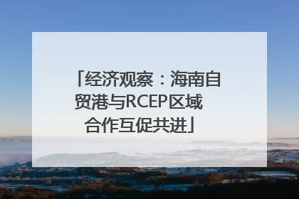 经济观察：海南自贸港与RCEP区域合作互促共进