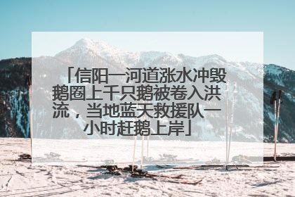 信阳一河道涨水冲毁鹅圈上千只鹅被卷入洪流，当地蓝天救援队一小时赶鹅上岸