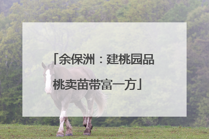 余保洲：建桃园品桃卖苗带富一方