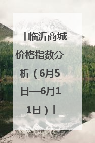 临沂商城价格指数分析（6月5日—6月11日）