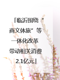 临沂围绕“商文体旅”等一体化改革 带动相关消费2.1亿元