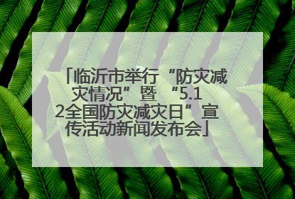 临沂市举行“防灾减灾情况”暨 “5.12全国防灾减灾日”宣传活动新闻发布会