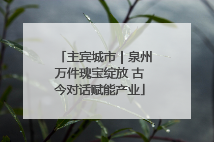 主宾城市｜泉州万件瑰宝绽放 古今对话赋能产业