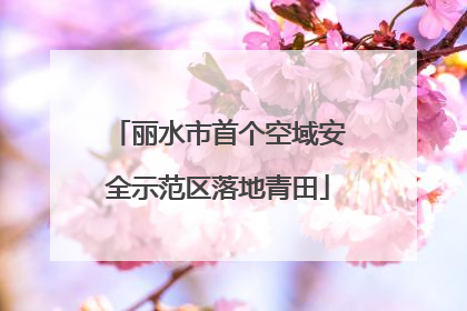 丽水市首个空域安全示范区落地青田