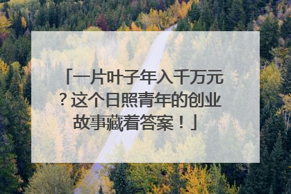 一片叶子年入千万元？这个日照青年的创业故事藏着答案！