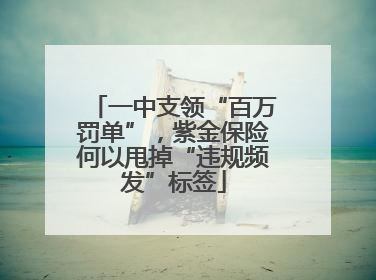 一中支领“百万罚单”，紫金保险何以甩掉“违规频发”标签