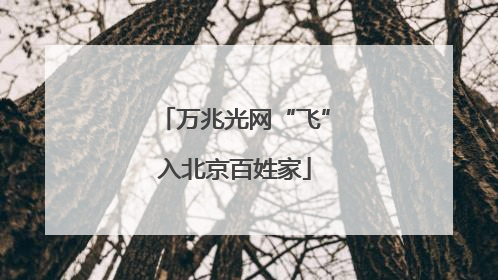 万兆光网“飞”入北京百姓家