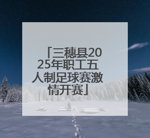 三穗县2025年职工五人制足球赛激情开赛