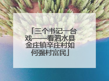 三个书记一台戏——看泗水县金庄镇辛庄村如何强村富民