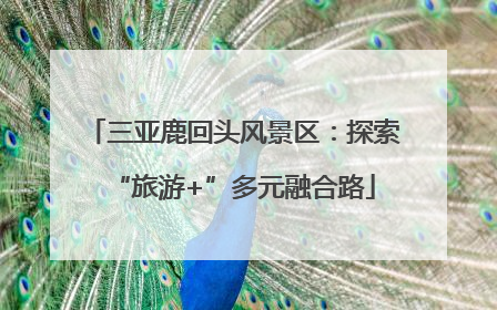 三亚鹿回头风景区：探索“旅游+”多元融合路