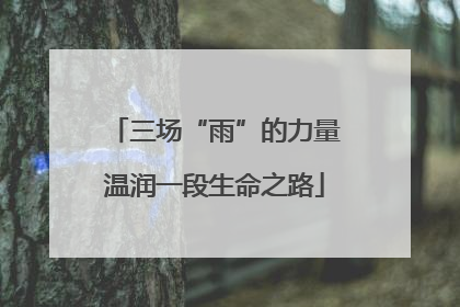三场“雨”的力量温润一段生命之路