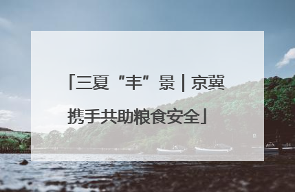 三夏“丰”景｜京冀携手共助粮食安全
