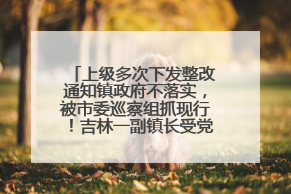 上级多次下发整改通知镇政府不落实，被市委巡察组抓现行！吉林一副镇长受党内警告处分