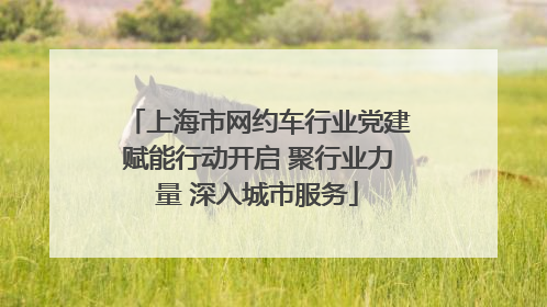 上海市网约车行业党建赋能行动开启 聚行业力量 深入城市服务