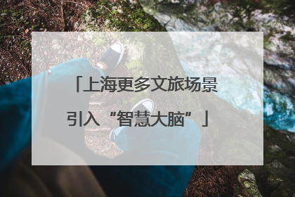 上海更多文旅场景引入“智慧大脑”