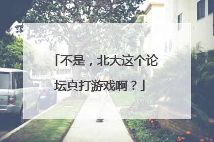 不是，北大这个论坛真打游戏啊？
