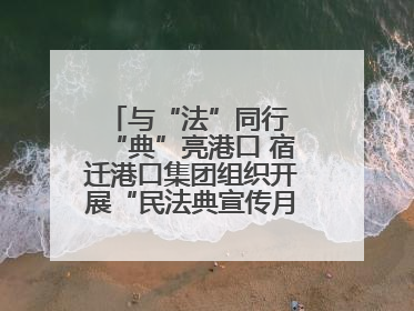 与“法”同行 “典”亮港口 宿迁港口集团组织开展“民法典宣传月”系列活动