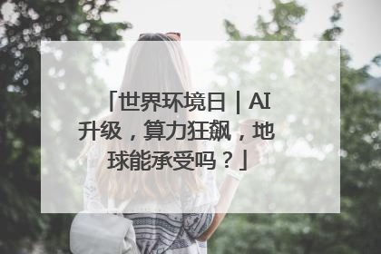 世界环境日｜AI升级，算力狂飙，地球能承受吗？