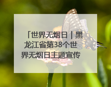 世界无烟日｜黑龙江省第38个世界无烟日主题宣传活动在哈启动
