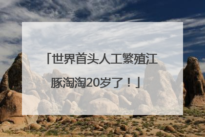 世界首头人工繁殖江豚淘淘20岁了！