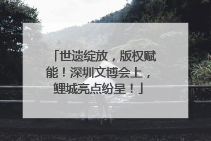 世遗绽放，版权赋能！深圳文博会上，鲤城亮点纷呈！