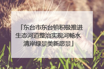 东台市东台镇积极推进生态河道整治实现河畅水清岸绿景美新愿景