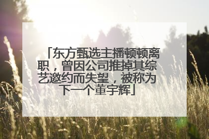 东方甄选主播顿顿离职，曾因公司推掉其综艺邀约而失望，被称为下一个董宇辉