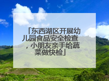 东西湖区开展幼儿园食品安全检查，小朋友亲手给蔬菜做快检