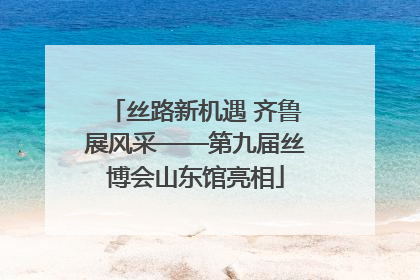 丝路新机遇 齐鲁展风采——第九届丝博会山东馆亮相