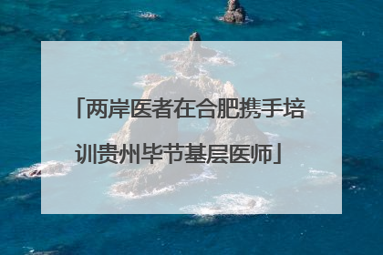 两岸医者在合肥携手培训贵州毕节基层医师