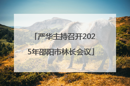 严华主持召开2025年邵阳市林长会议