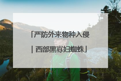 严防外来物种入侵｜西部黑寡妇蜘蛛