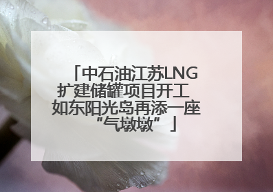 中石油江苏LNG扩建储罐项目开工 如东阳光岛再添一座“气墩墩”
