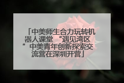 中美师生合力玩转机器人课堂 “遇见湾区”中美青年创新探索交流营在深圳开营