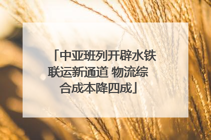 中亚班列开辟水铁联运新通道 物流综合成本降四成